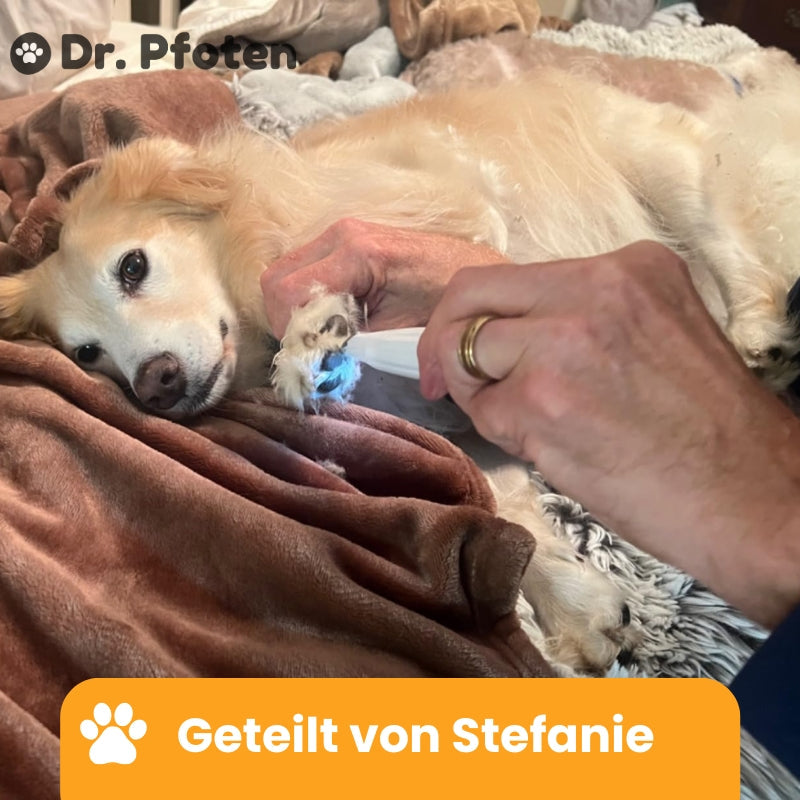 PawTrim Pro™ Deluxe Set - Frühling Exklusiv