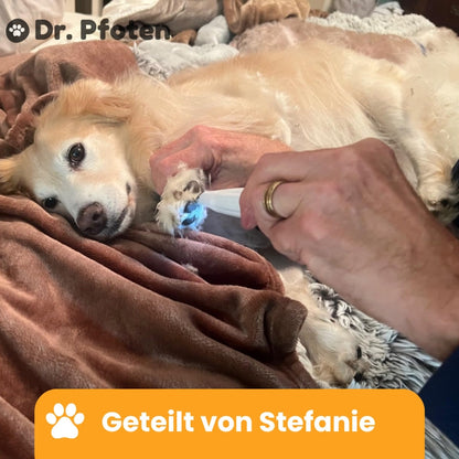 PawTrim Pro™ Deluxe Set - Frühling Exklusiv